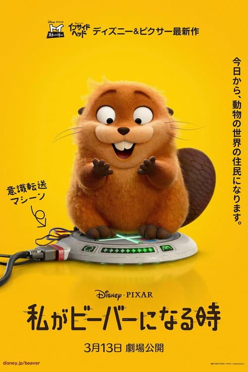 私がビーバーになる時